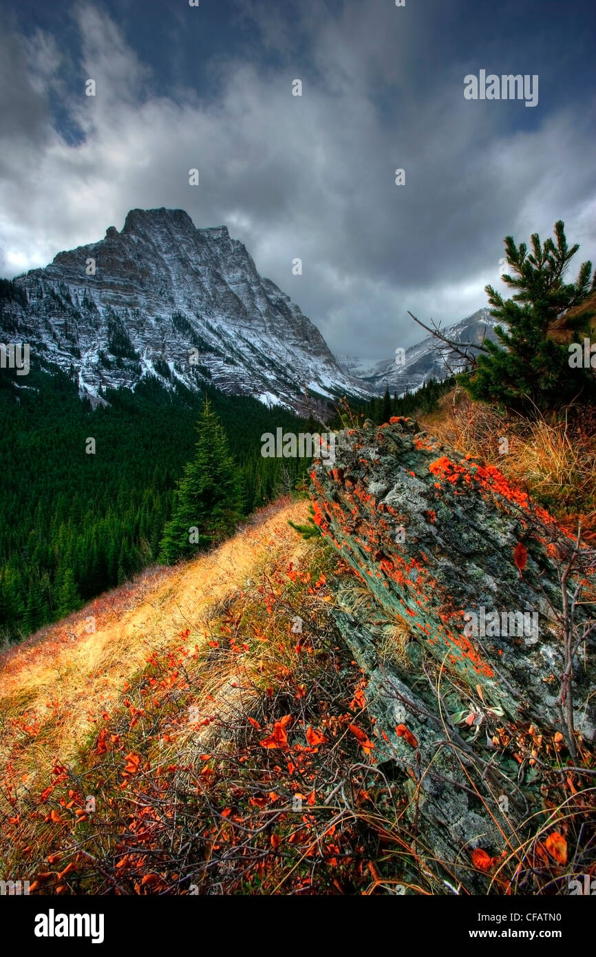 Lineham lakes hi-res stock photography and images - Alamy