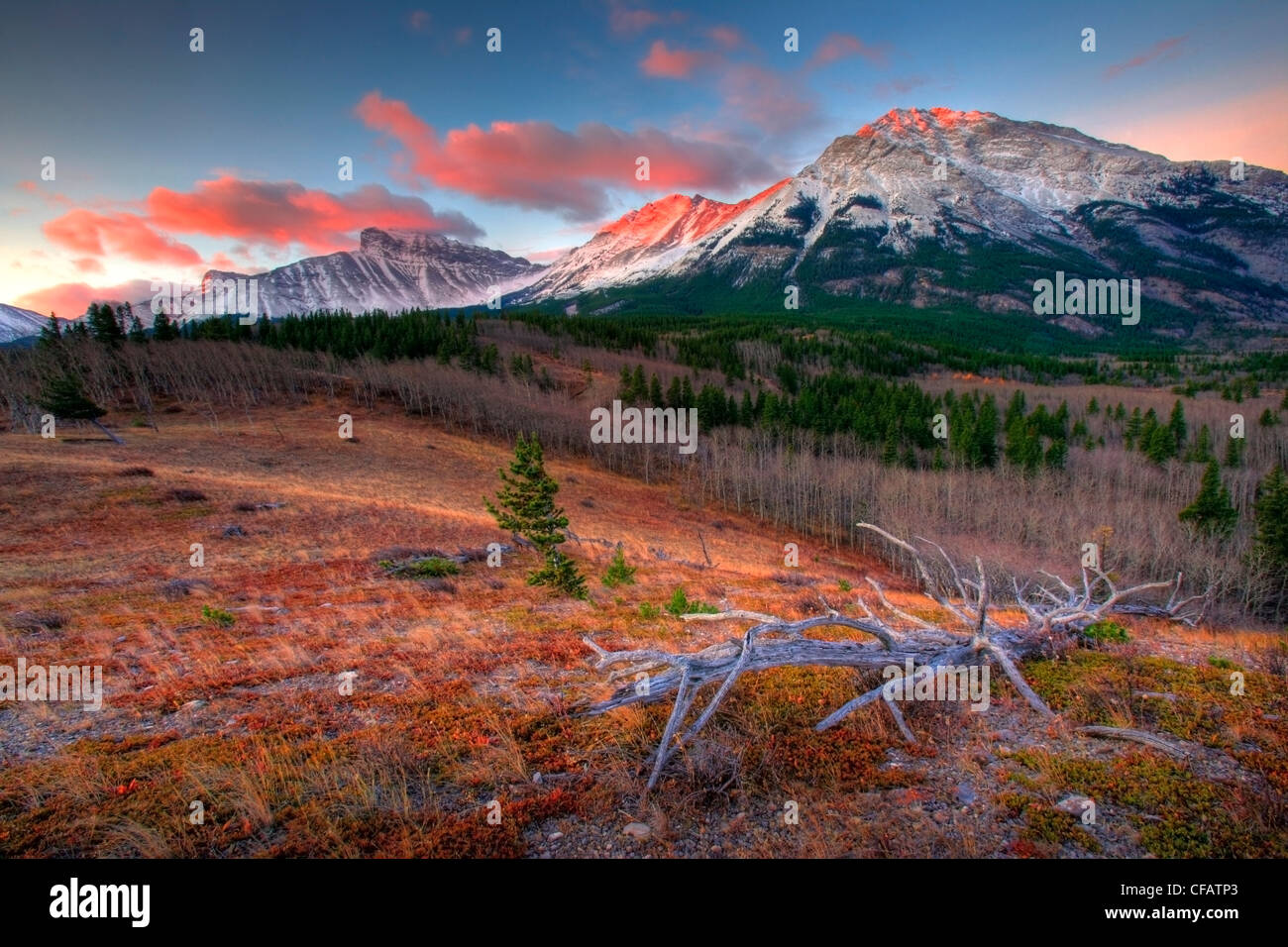 Sunrise and alpenglow above Crowsnest Pass on the border of Alberta and British Columbia, Canada Stock Photo
