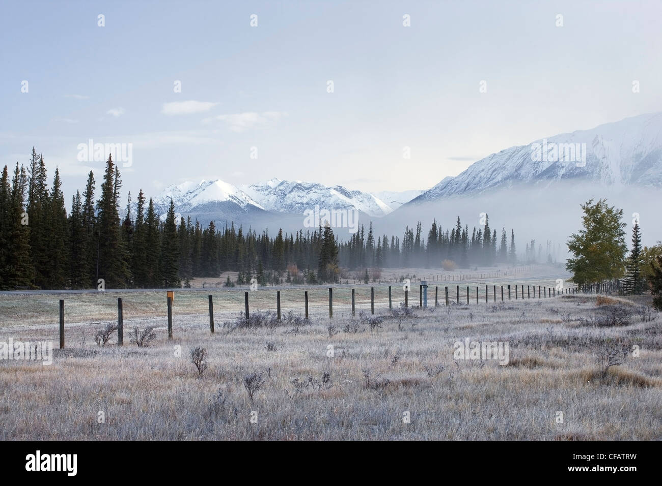 Fence line along kootenay plains hires stock photography and images Alamy