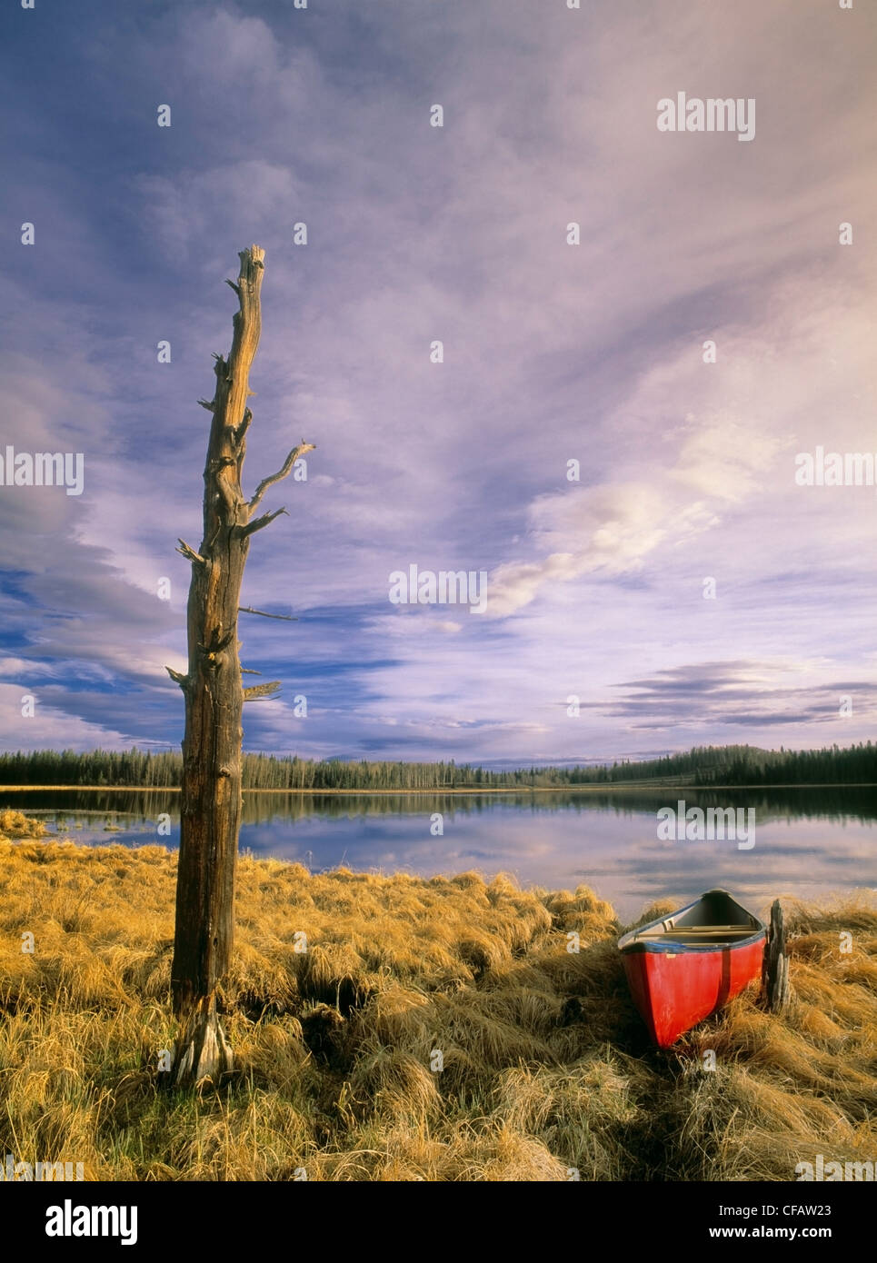 Cremona alberta hires stock photography and images Alamy