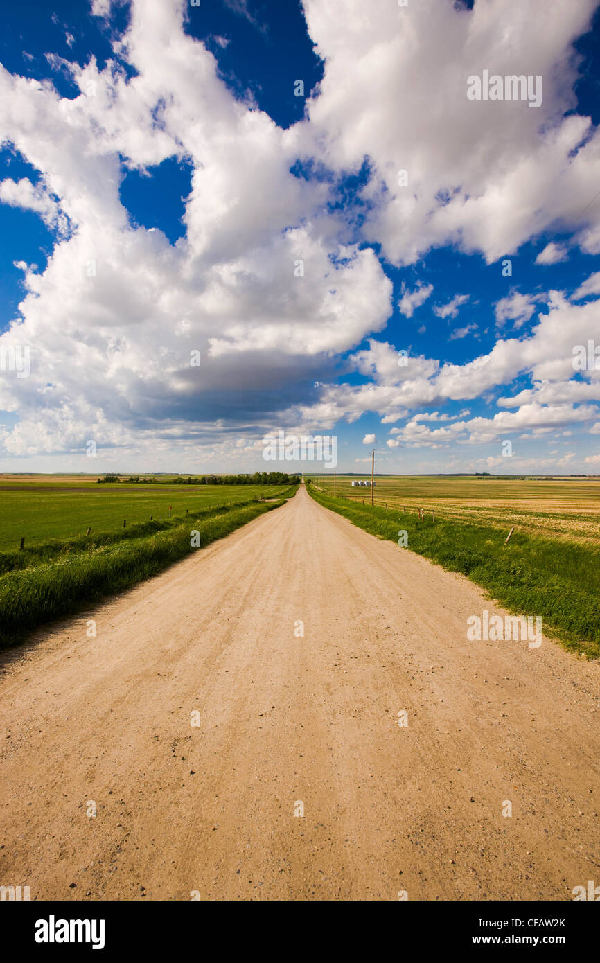 Clay road near Bassano, Alberta, Canada Stock Photo Alamy