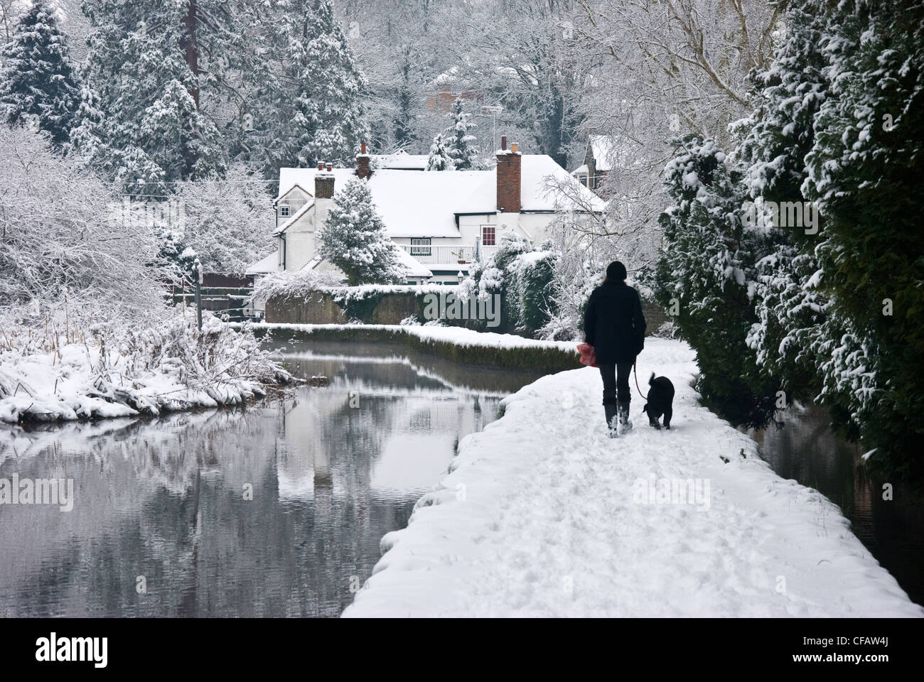 Person walking dog in snow Stock Photo Alamy
