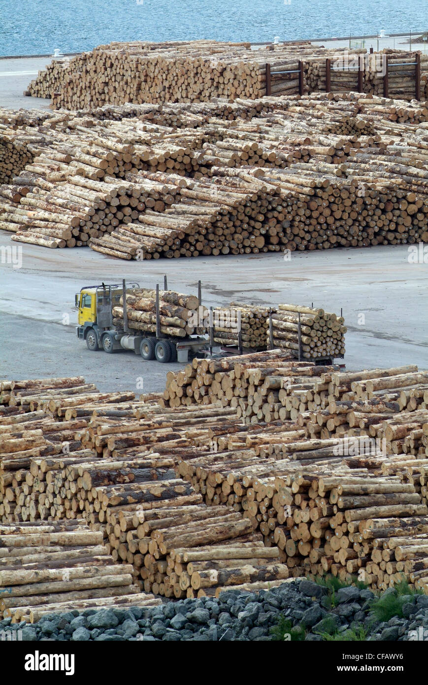 New Zealand, Picton, felled timber being stockpiled ready for shipment