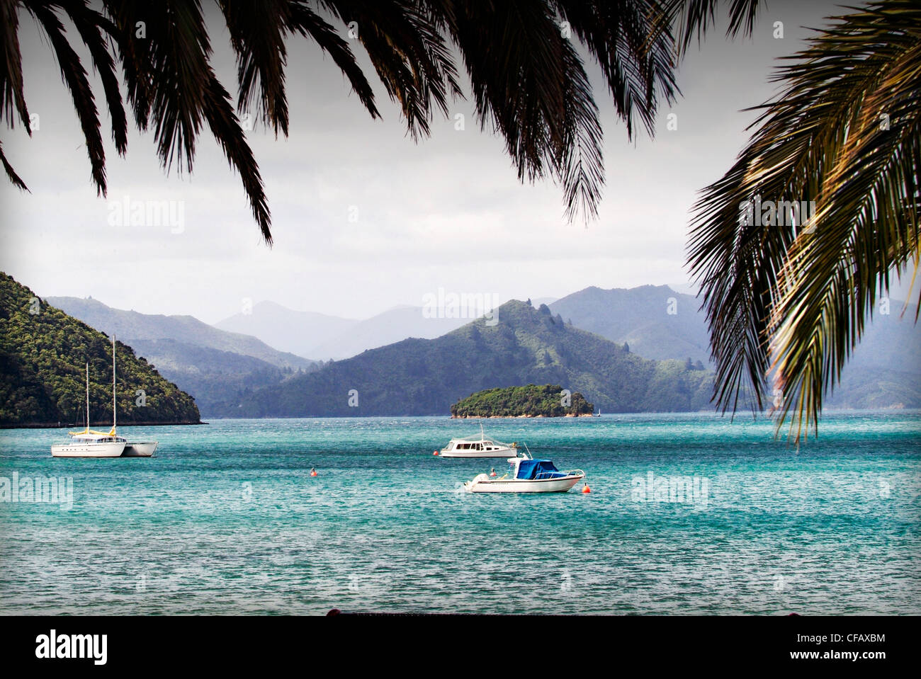 New Zealand, South Island, Cook Strait, Picton Stock Photo - Alamy