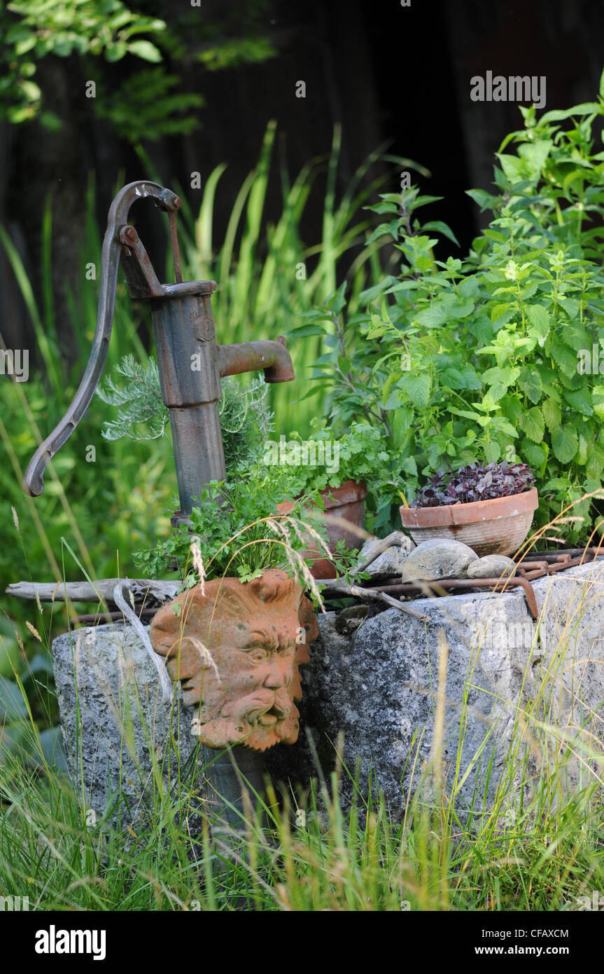 Wells, herbs, herb garden, garden, herbs Stock Photo Alamy