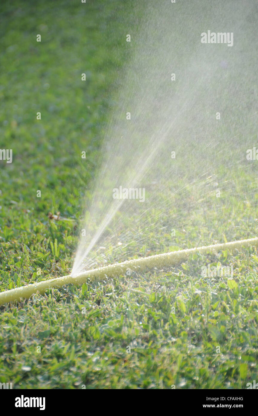 Garden, tube, water hose, lawns, watering, hole, splash Stock Photo Alamy