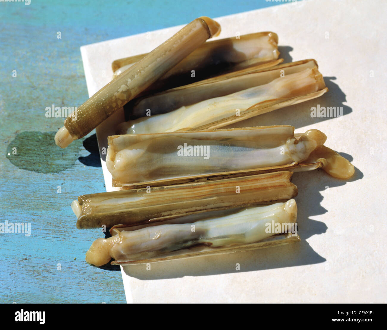 Stil: Mussels (stick) Stock Photo