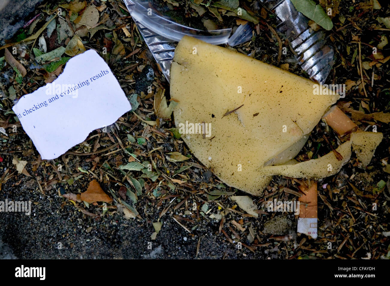 Rubbish with the words "Checking & evaluating results, London UK Stock Photo
