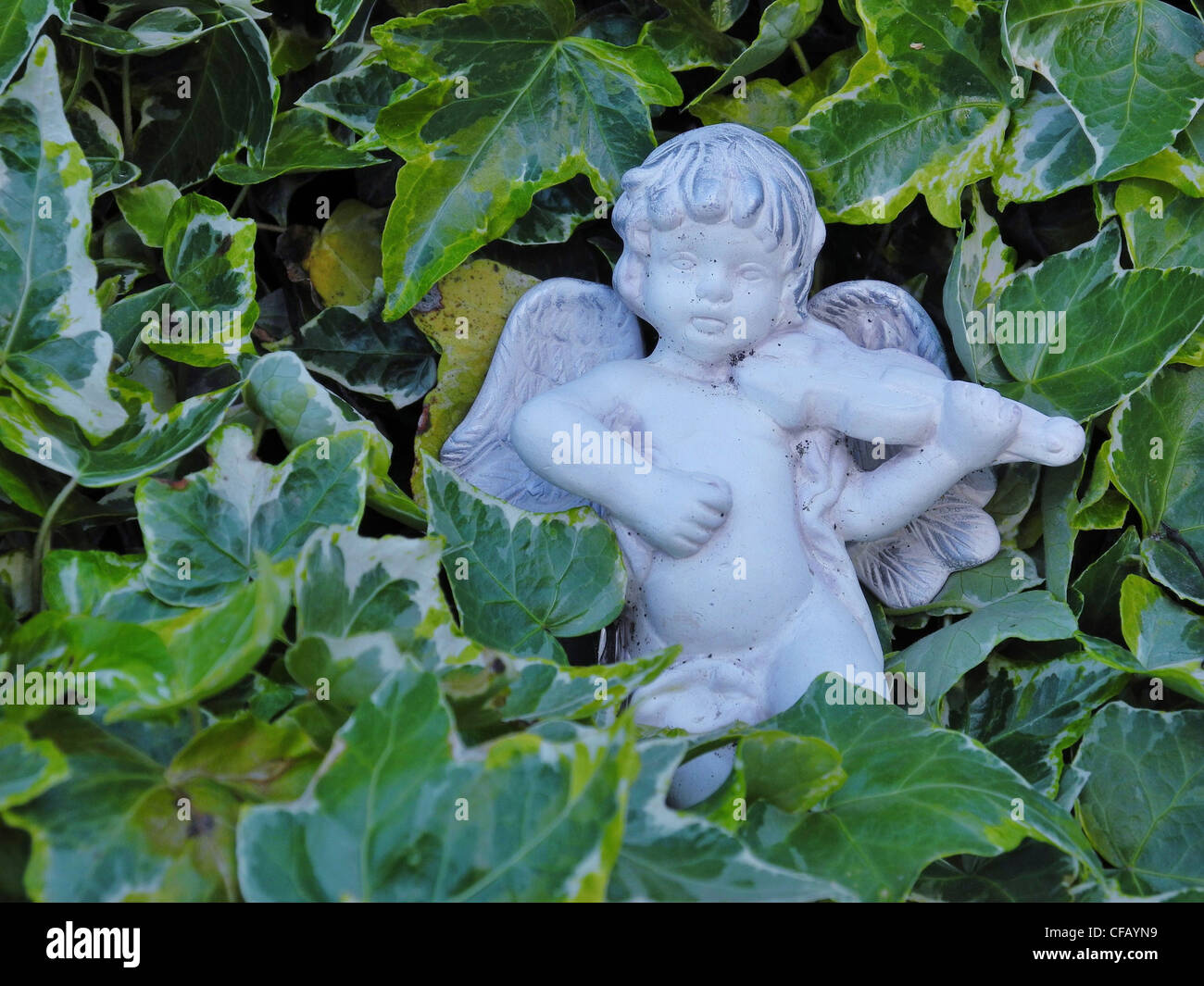 Angel, child, symbol, concepts, wing, violin, music, ivy Stock Photo