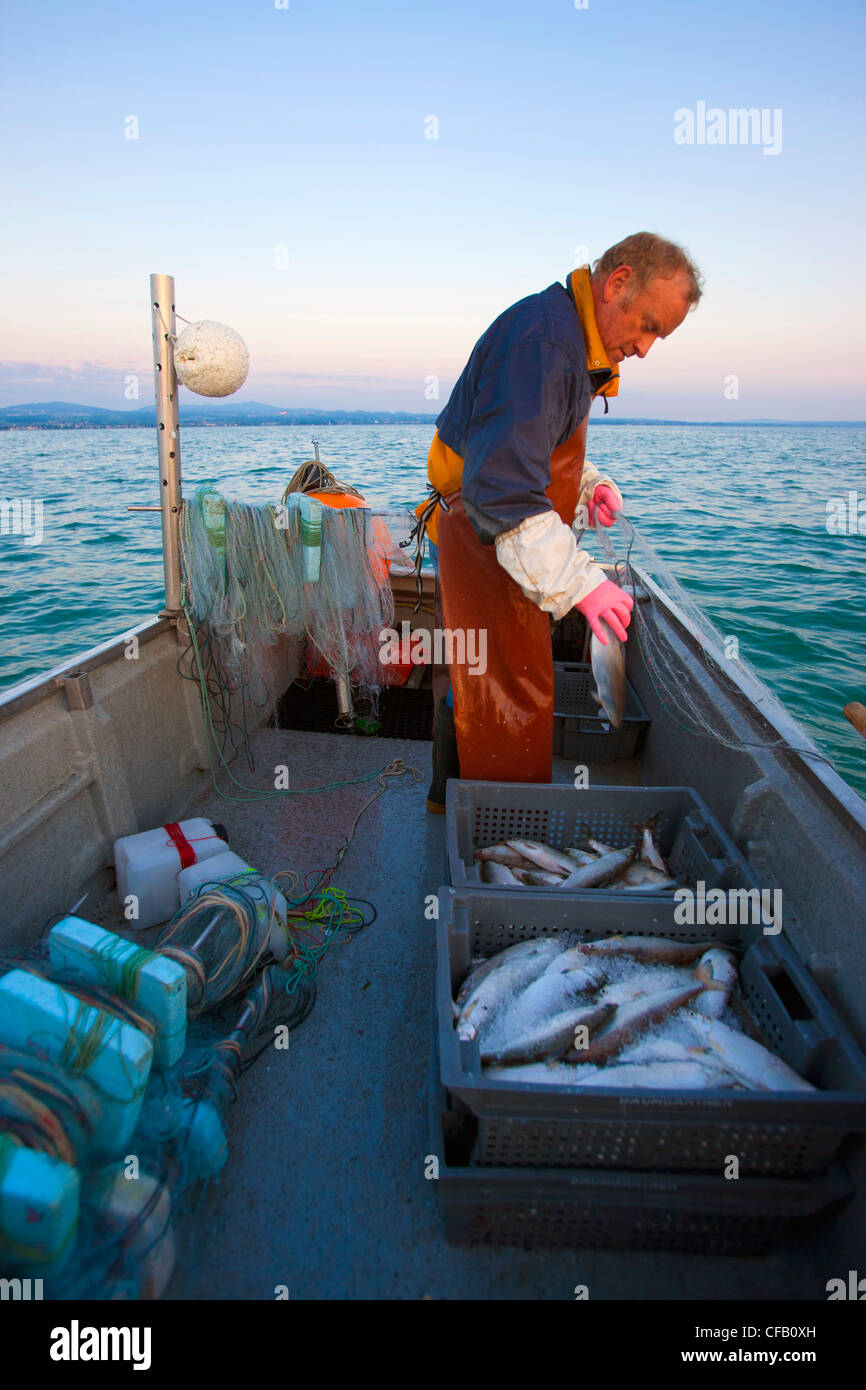 Lake of Constance, profession, fisherman, Switzerland, canton St. Gallen, lake, Fischer, craft, boat, fishing net, fish, whitefi Stock Photo