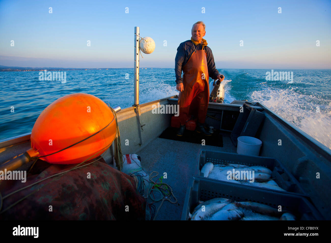 Lake of Constance, profession, fisherman, Switzerland, canton St. Gallen, lake, Fischer, craft, boat, fish, whitefishes, morning Stock Photo