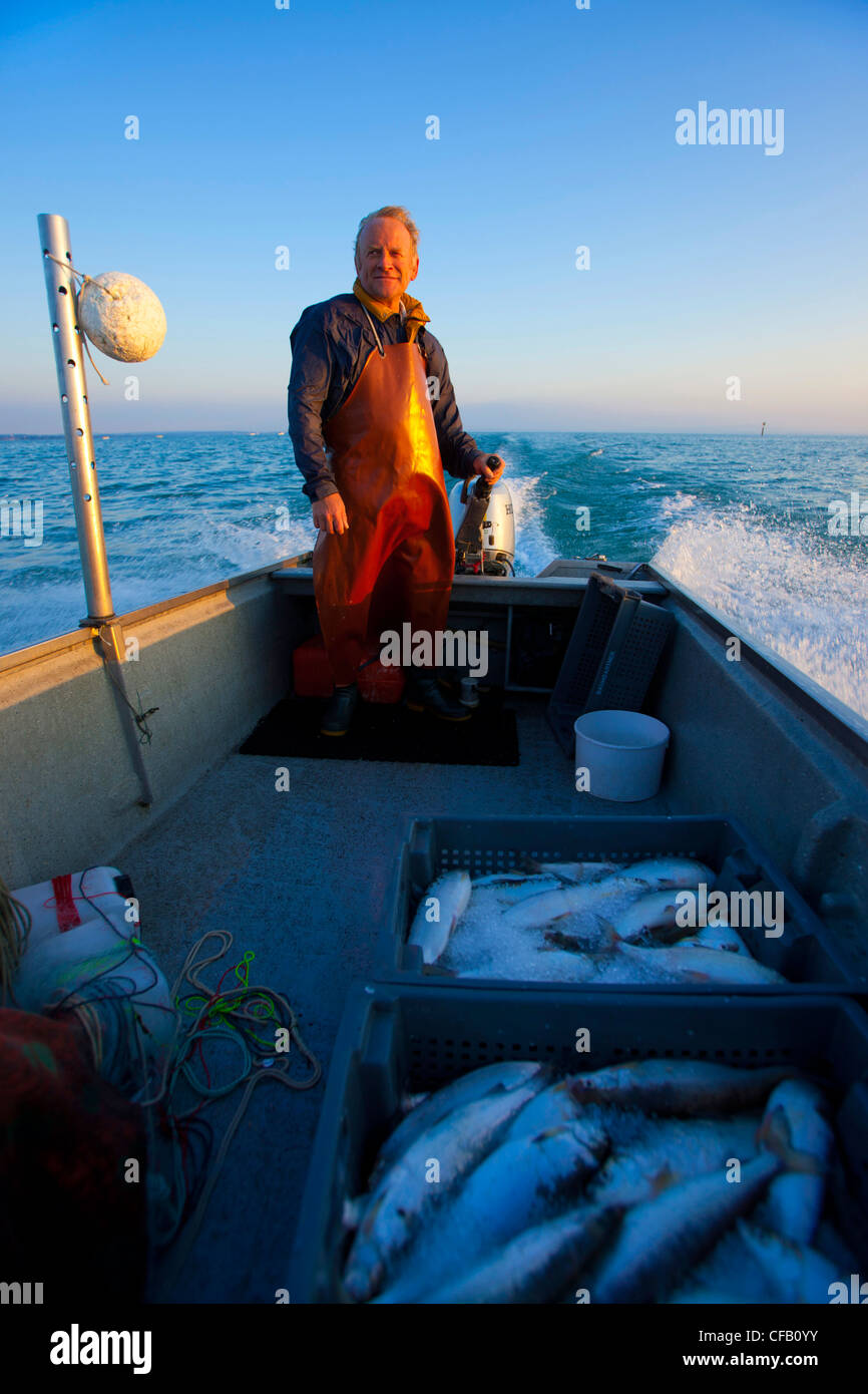 Lake of Constance, profession, fisherman, Switzerland, canton St. Gallen, lake, Fischer, craft, boat, fish, whitefishes, morning Stock Photo