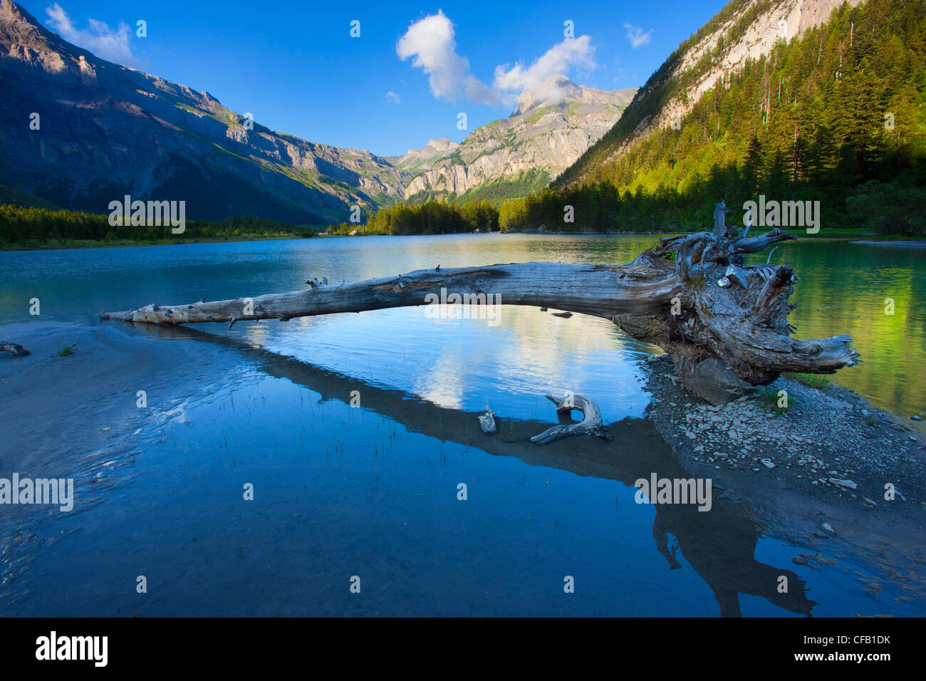 Lac de Derborence, Switzerland, Valais, mountains, lake, mountain lake, trunk, wood, reflection, nature Stock Photo