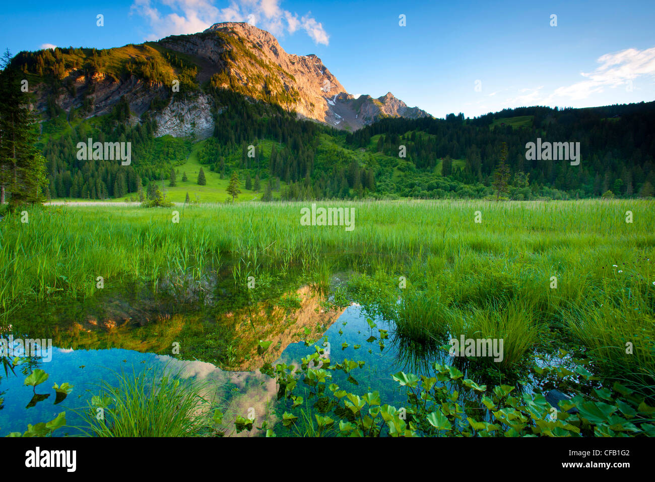 Lauenensee, Switzerland, canton Bern, Bernese Oberland, lake, mountain lake, riparian zone, littoral zone, marshland, mountain, Stock Photo