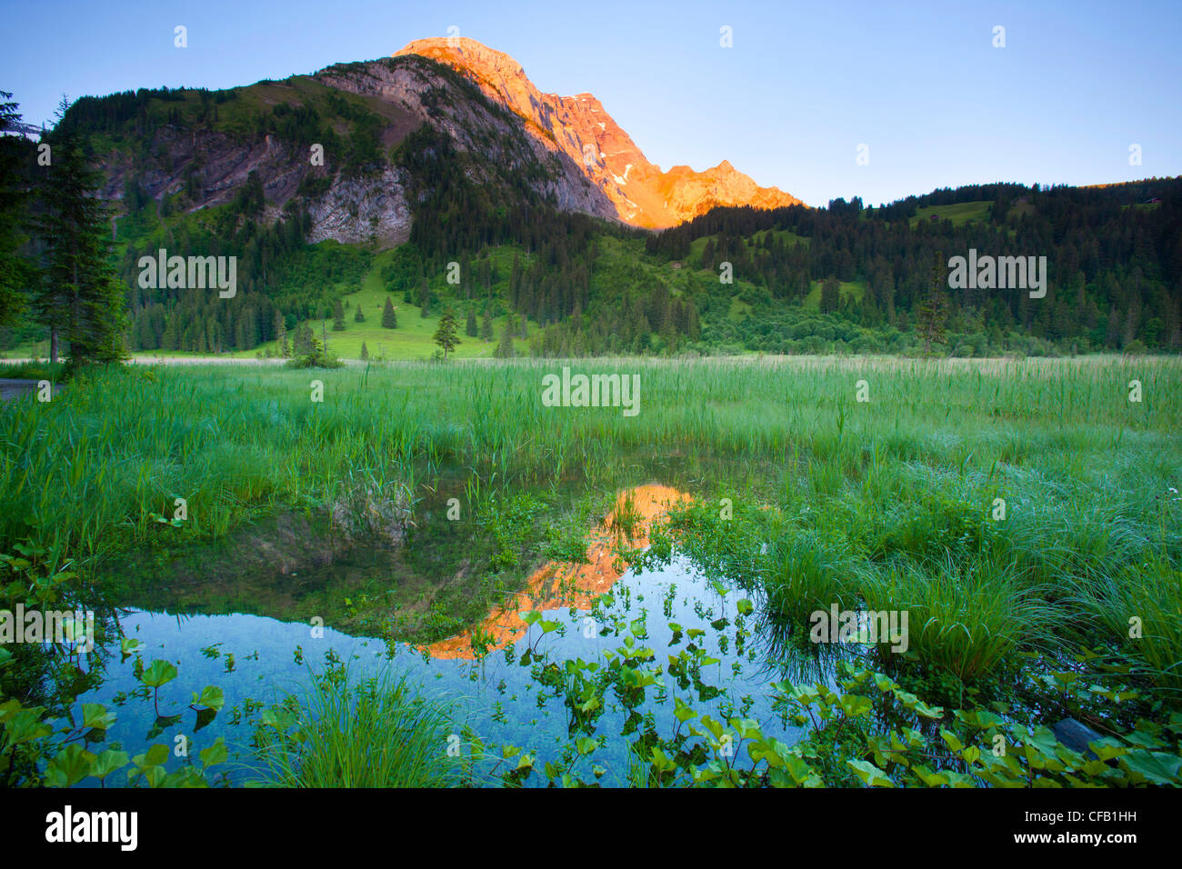 Lauenensee, Switzerland, canton Bern, Bernese Oberland, lake, mountain lake, riparian zone, littoral zone, marshland, mountain, Stock Photo