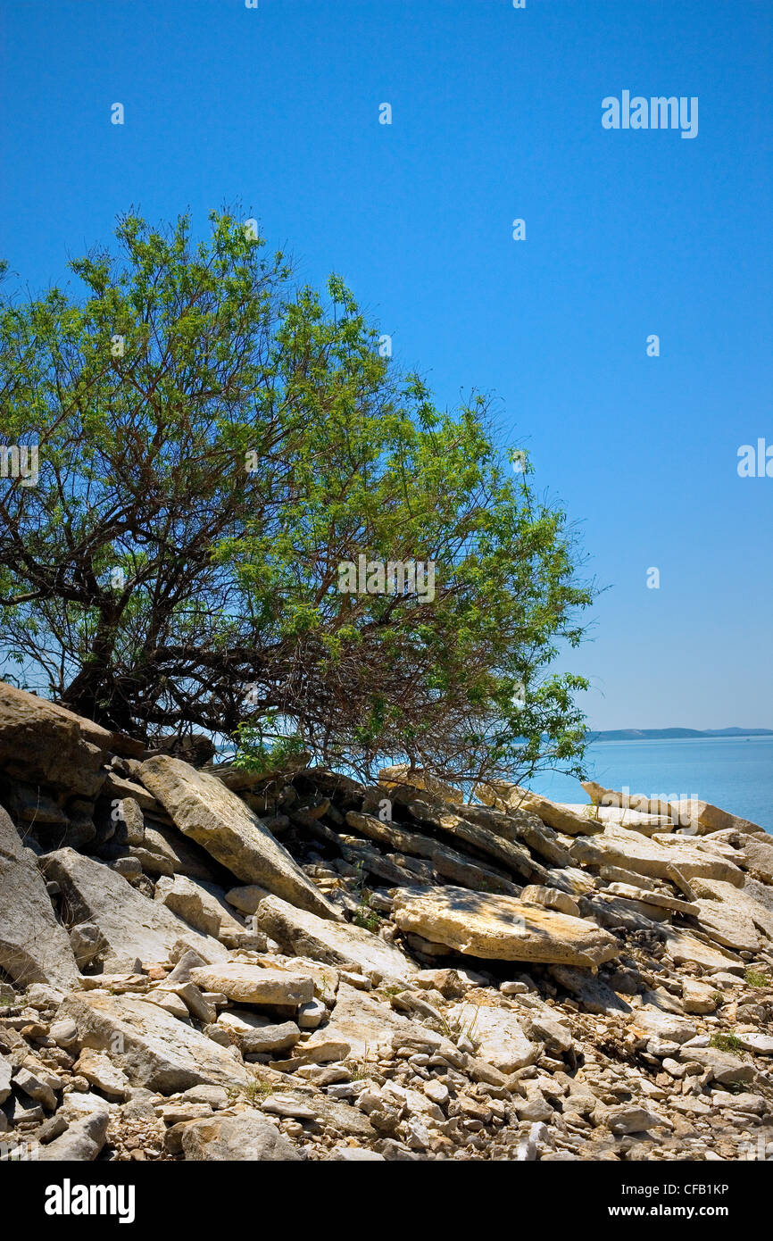 Lake boat Landing Lake Buchanan Texas Stock Photo Alamy