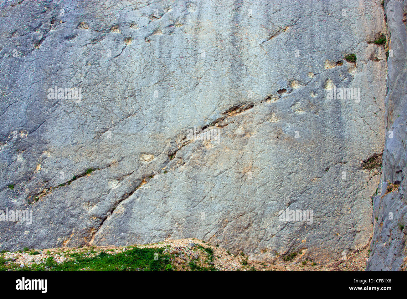 Lommiswil, saurian tracks, dinosaurs, Switzerland, canton Solothurn, stone quarry, rock, cliff, fossilization, fossils, geology, Stock Photo