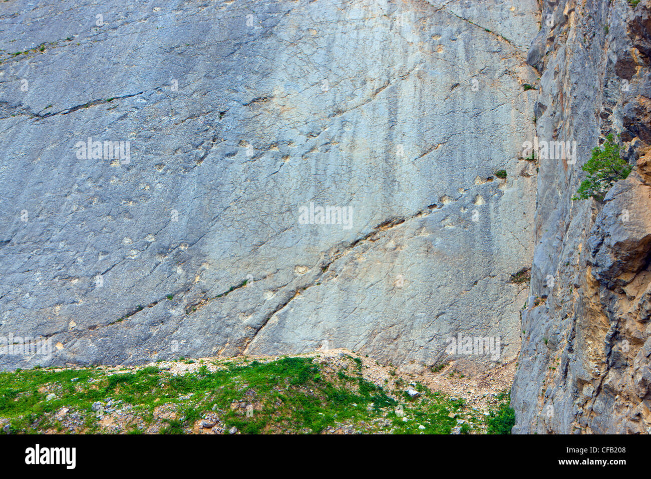 Lommiswil, saurian tracks, dinosaurs, Switzerland, canton Solothurn, stone quarry, rock, cliff, fossilization, fossils, geology, Stock Photo