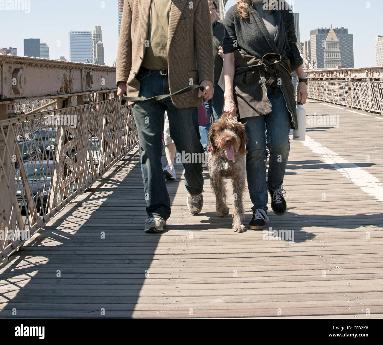 Top 32+ Photos dog day afternoon brooklyn, new york photos Superb Top 32+ Photos dog day afternoon brooklyn, new york photos Superb