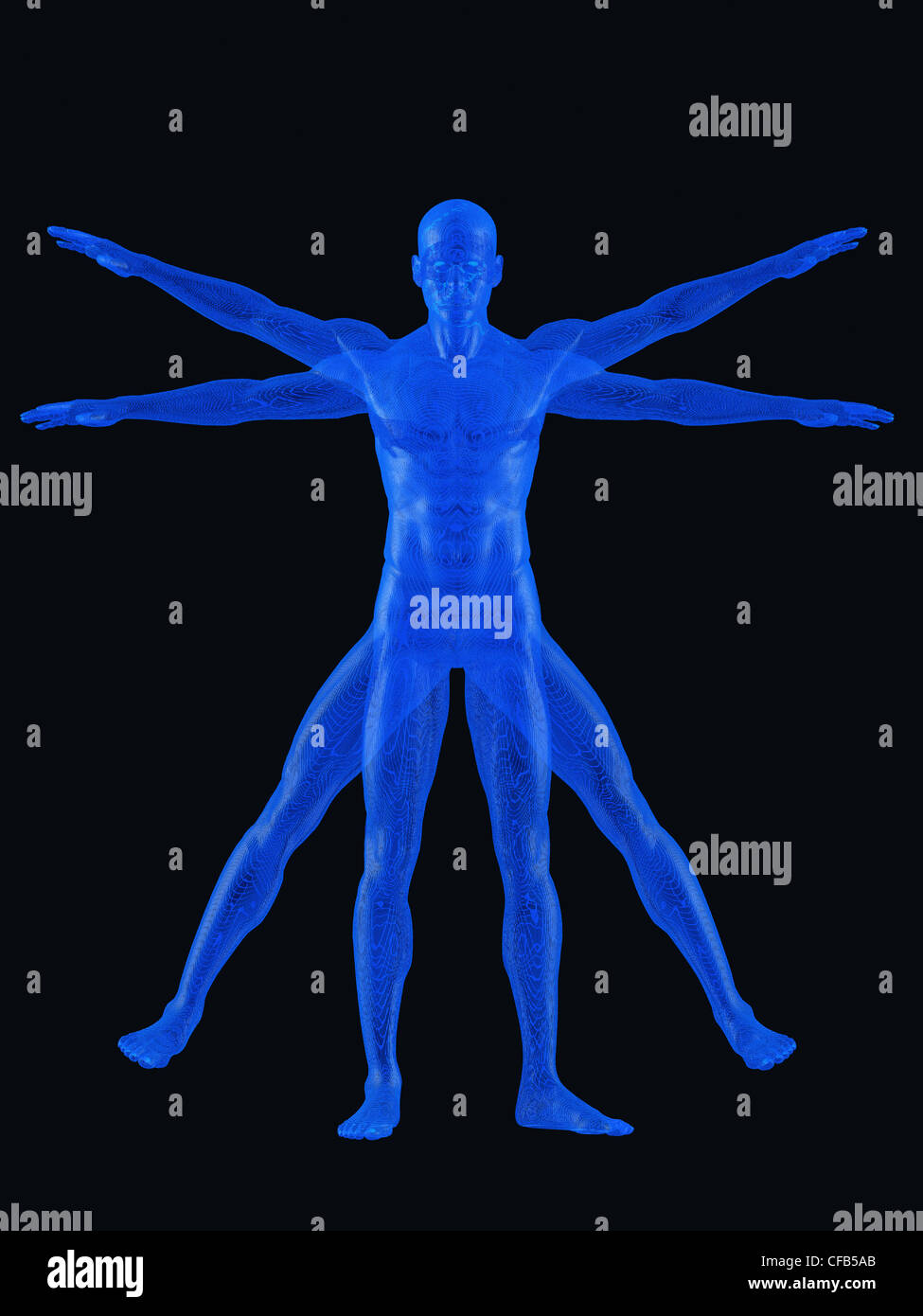 Vitruvian man. 3d rendering. On black Stock Photo Alamy