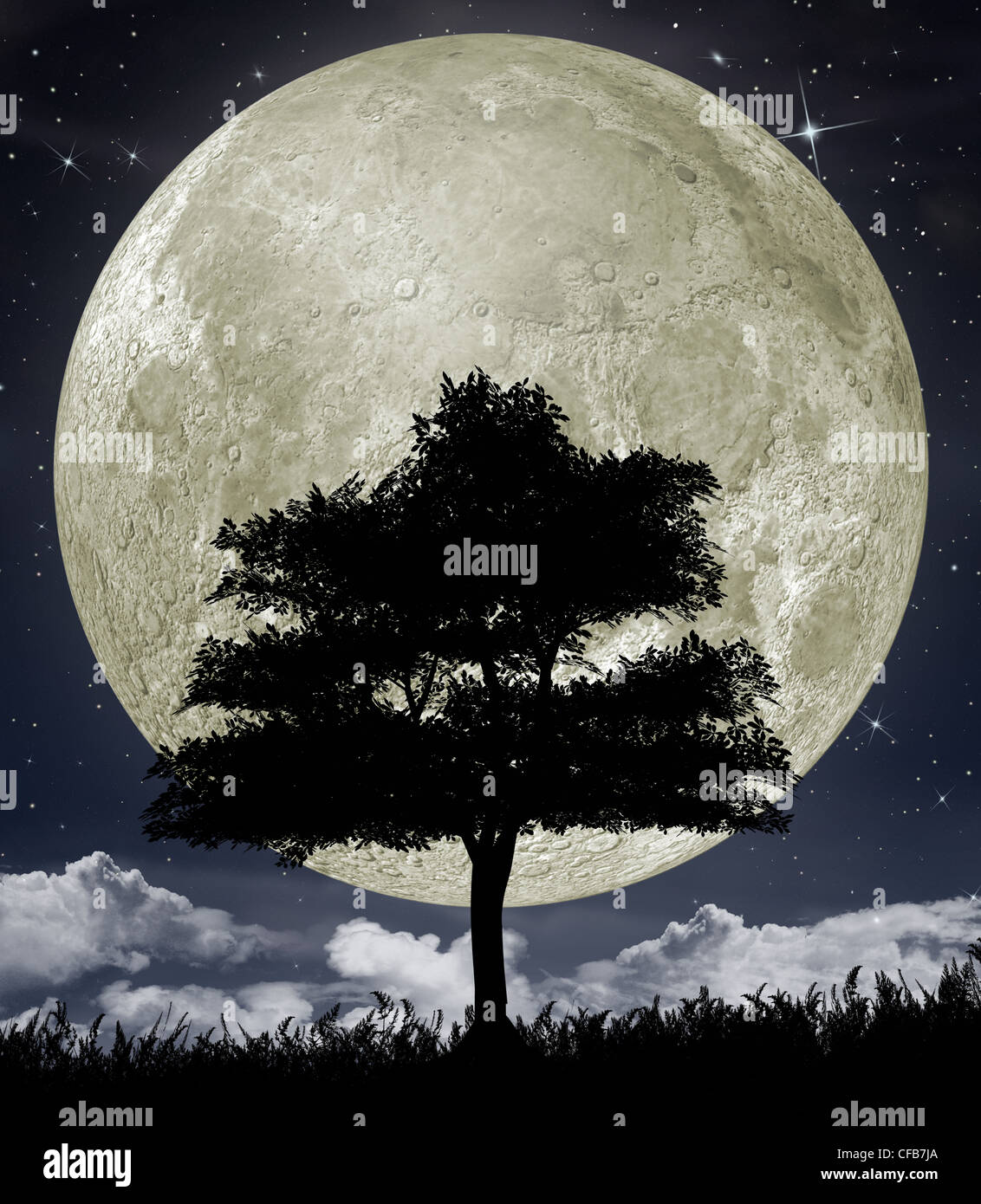 Silhouette Of A Tree Against The Big Moon And The Star Night Sky Stock Photo Alamy
