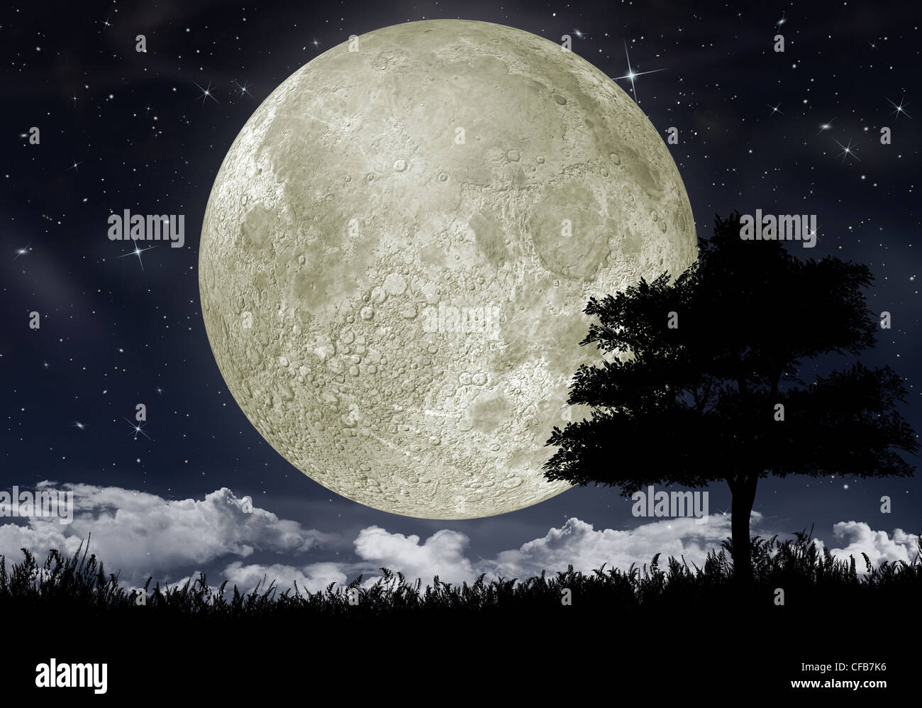 Silhouette of a tree against the big moon and the star night sky Stock ...
