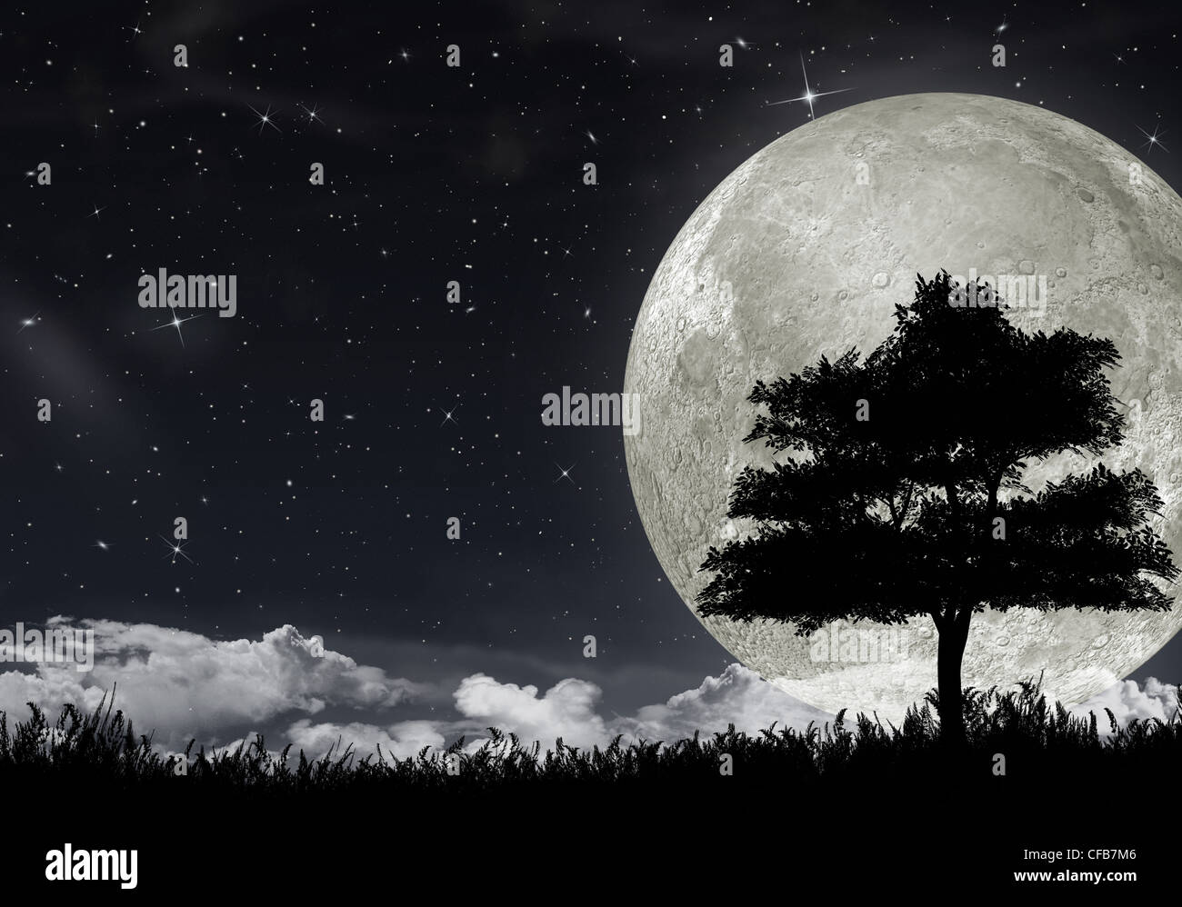 Silhouette Of A Tree Against The Big Moon And The Star Night Sky Stock Photo Alamy