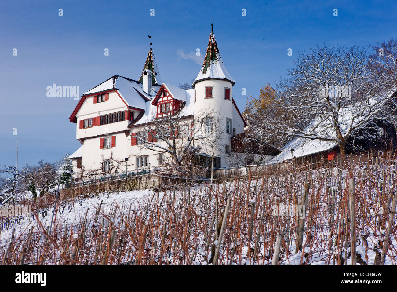 Winter, snow, canton, St. Gallen, St. Gall, Switzerland, Europe