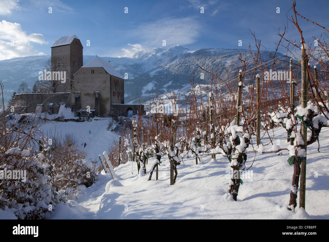 Winter, snow, canton, St. Gallen, St. Gall, Switzerland, Europe