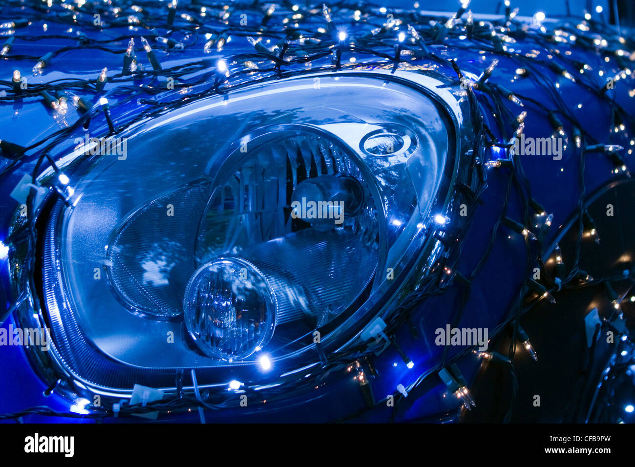 The iconic annual christmas lights on display in houses, Franklin Road