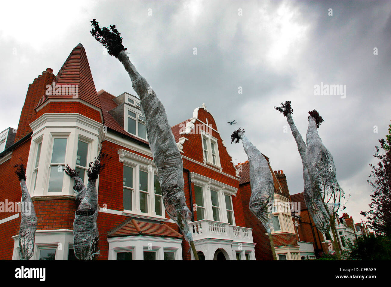 Trees wrapped in protective sheeting on street, with red edwardian houses in background Stock Photo