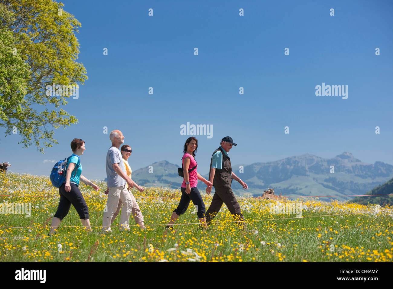 Canton Appenzell, Switzerland, Europe, Ausserrhoden, walking, hiking, trekking, stone, family, group, meadow Stock Photo