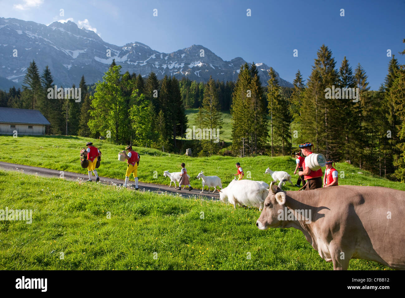Switzerland europe tradition folklore national hi-res stock photography and  images - Page 3 - Alamy
