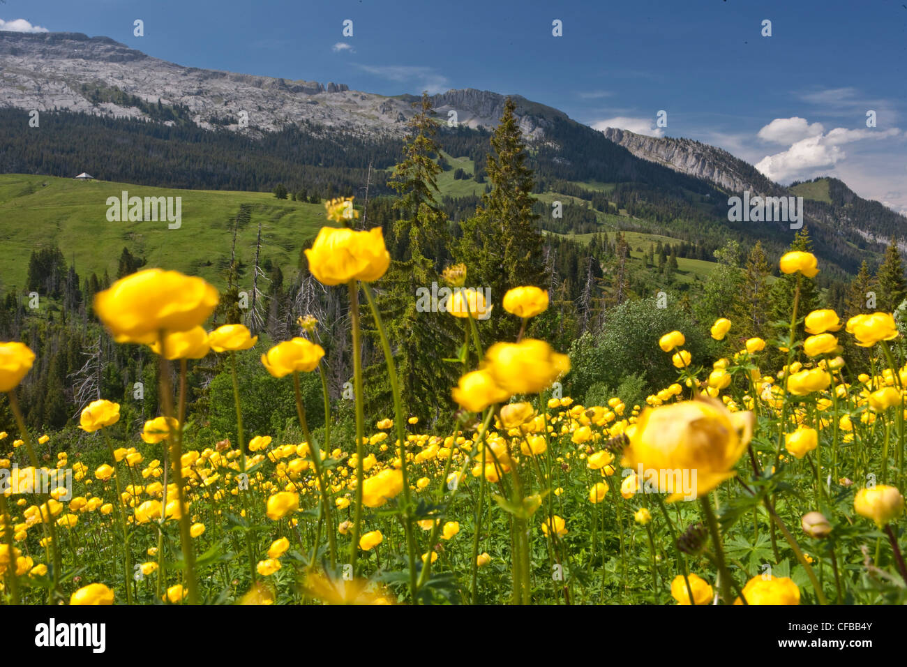 Mountain, mountains, cliff, rock, mountains, canton, Lucerne