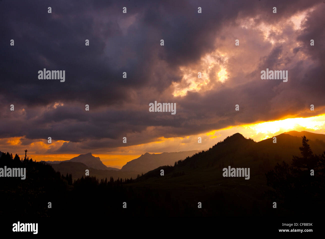 Tree, trees, scenery, weather, clouds, cloud, canton, Nidwalden, Switzerland, Europe, Glaubenbüelen, evening, silhouette Stock Photo