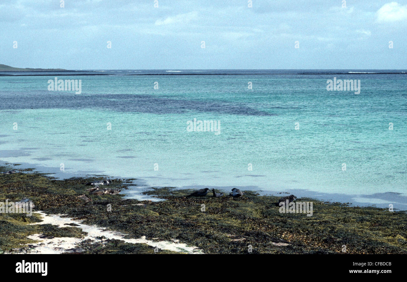 Orkney beach Stock Photo