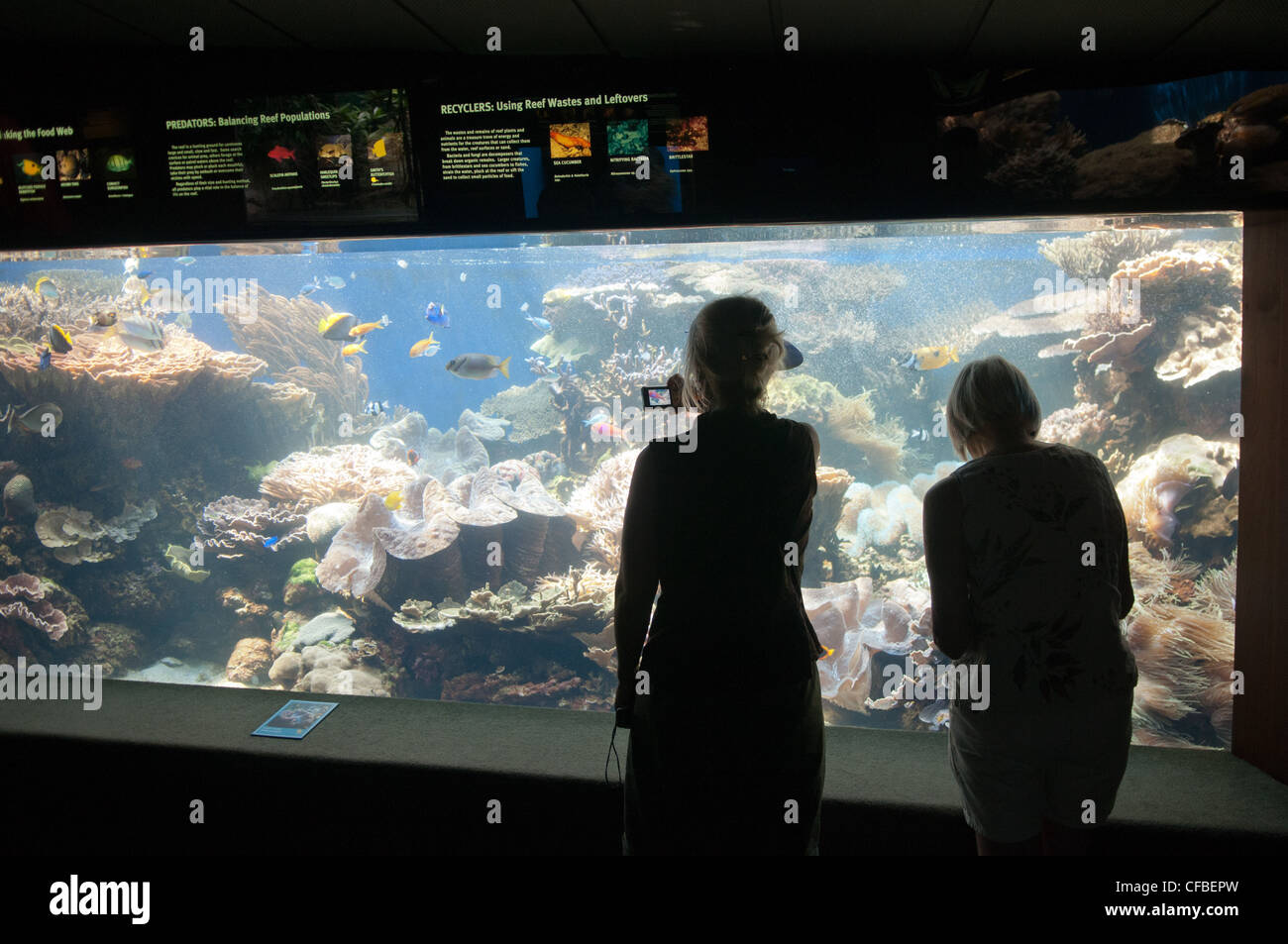 Waikiki Aquarium, Oahu, Hawaii Stock Photo Alamy