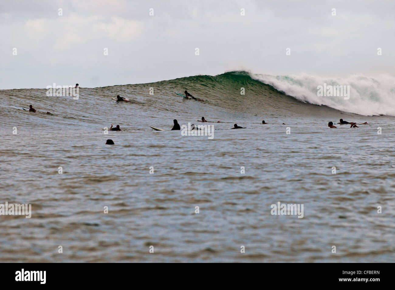 Surfers lineup hires stock photography and images Alamy