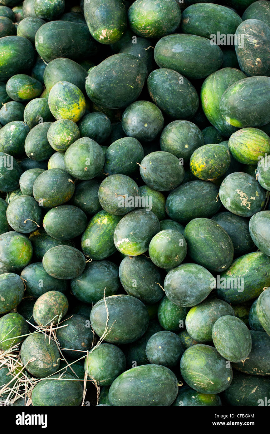 Citrullus lanatus. Small sweet Watermelons. India Stock Photo