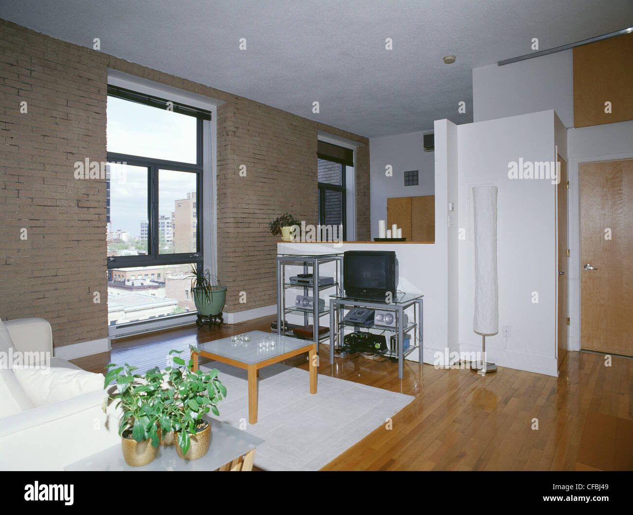 Loft Spaces Loft conversion apartments in the Darcy McGee Building, a