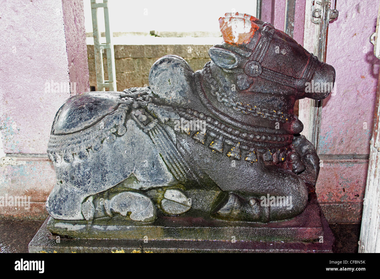 Nandi at Shri Koteshwar Temple Situated between Village Limb and Gove in Middle of River Krishna, Satara, Maharashtra, India Stock Photo