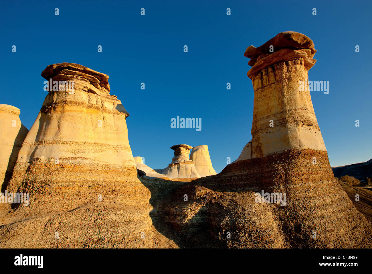 Hoodoo formation in The Badlands, Drumheller, Alberta, Canada Stock ...