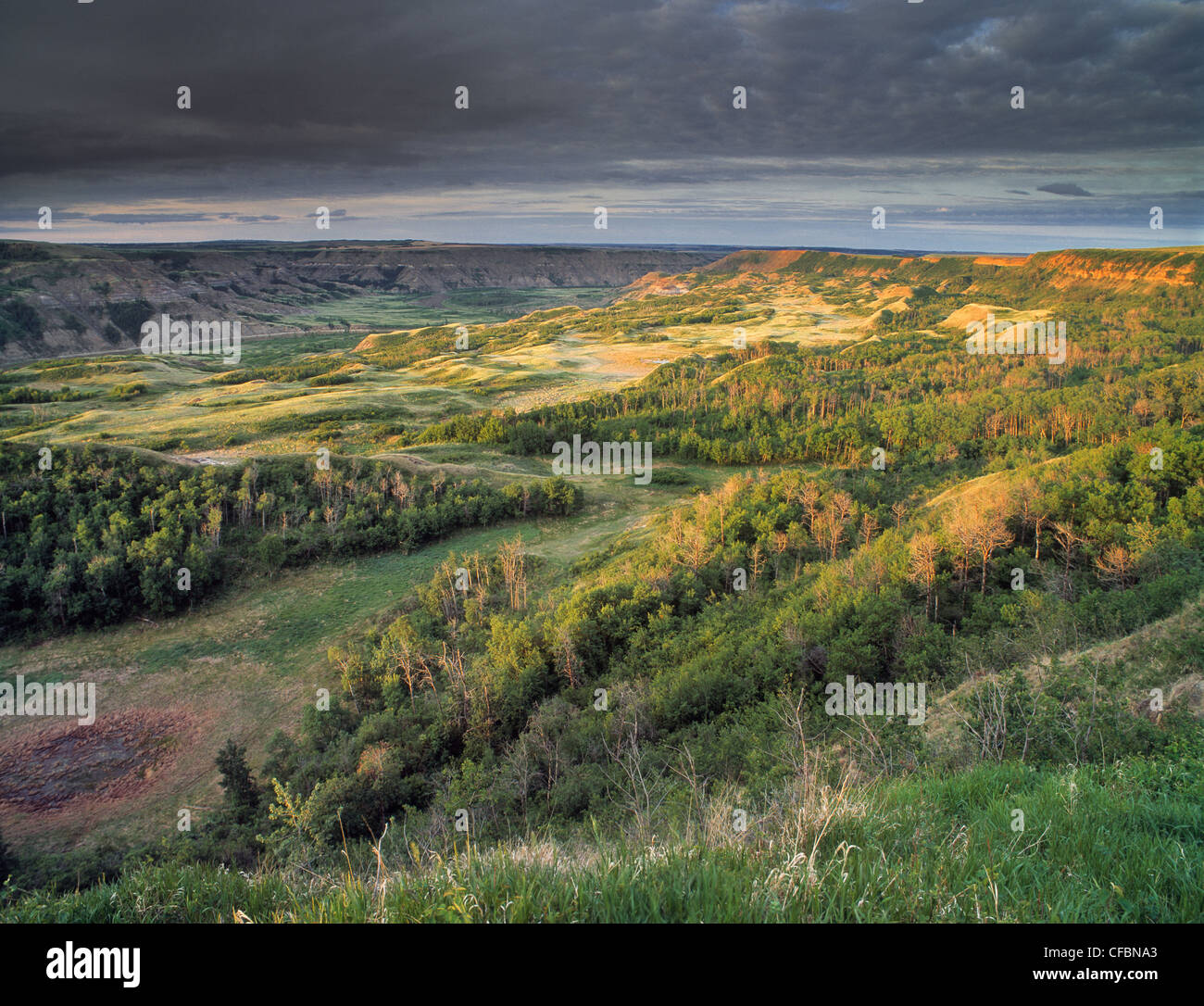 Dry Island Buffalo Jump Provincial Park, Alberta, Canada Stock Photo