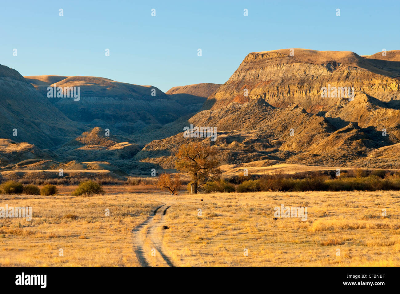 The Badlands, East Coulee, Alberta, Canada Stock Photo Alamy