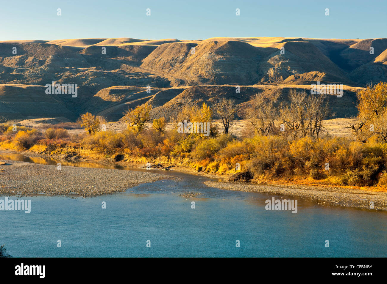 The Red Deer River running through The Badlands, East Coulee, Alberta