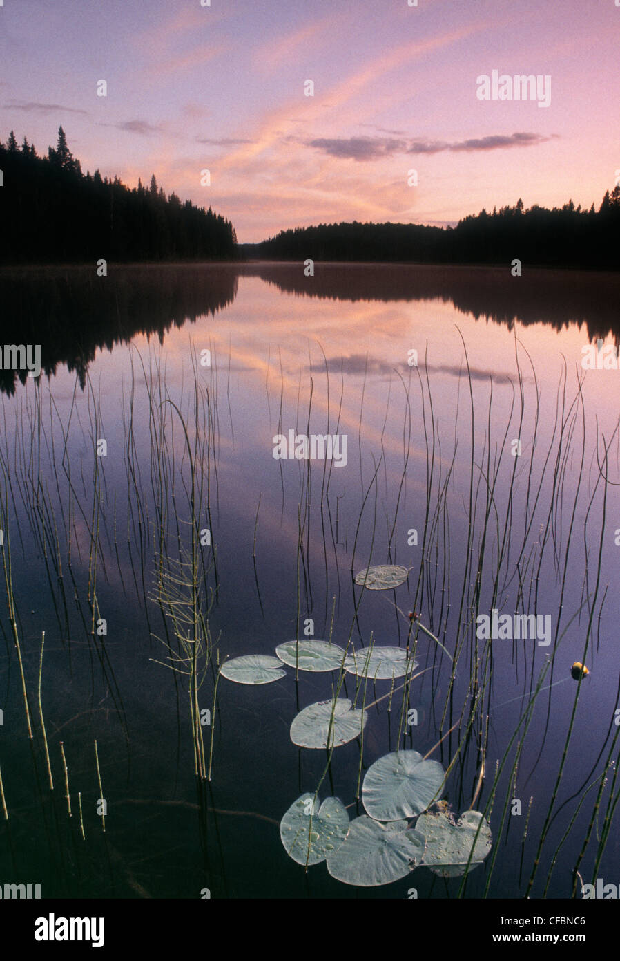 Two Mile Lake, Duck Mountain Provincial Park, Manitoba, Canada Stock