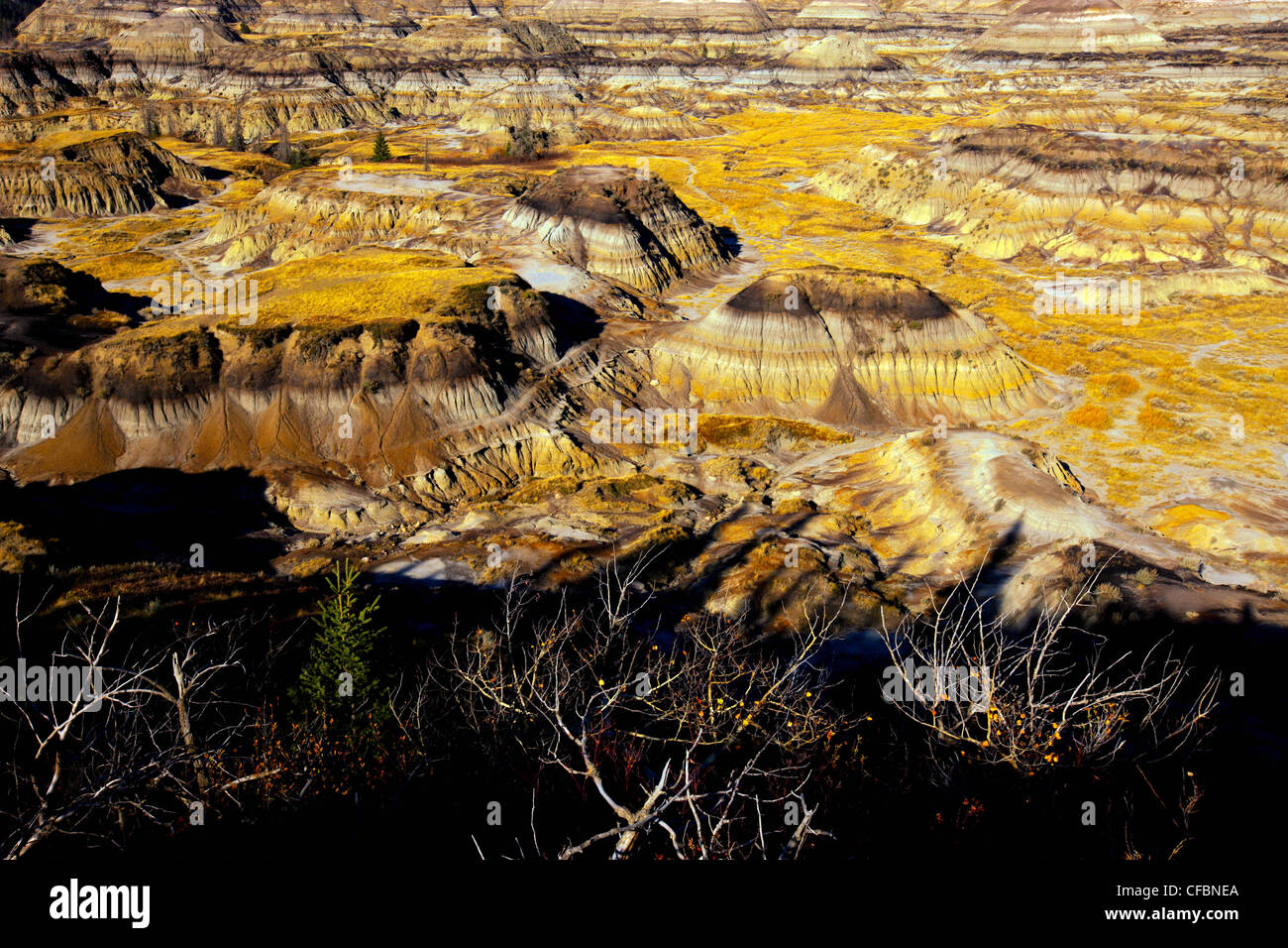 The Horseshoe Canyon formation, Alberta, Canada Stock Photo Alamy