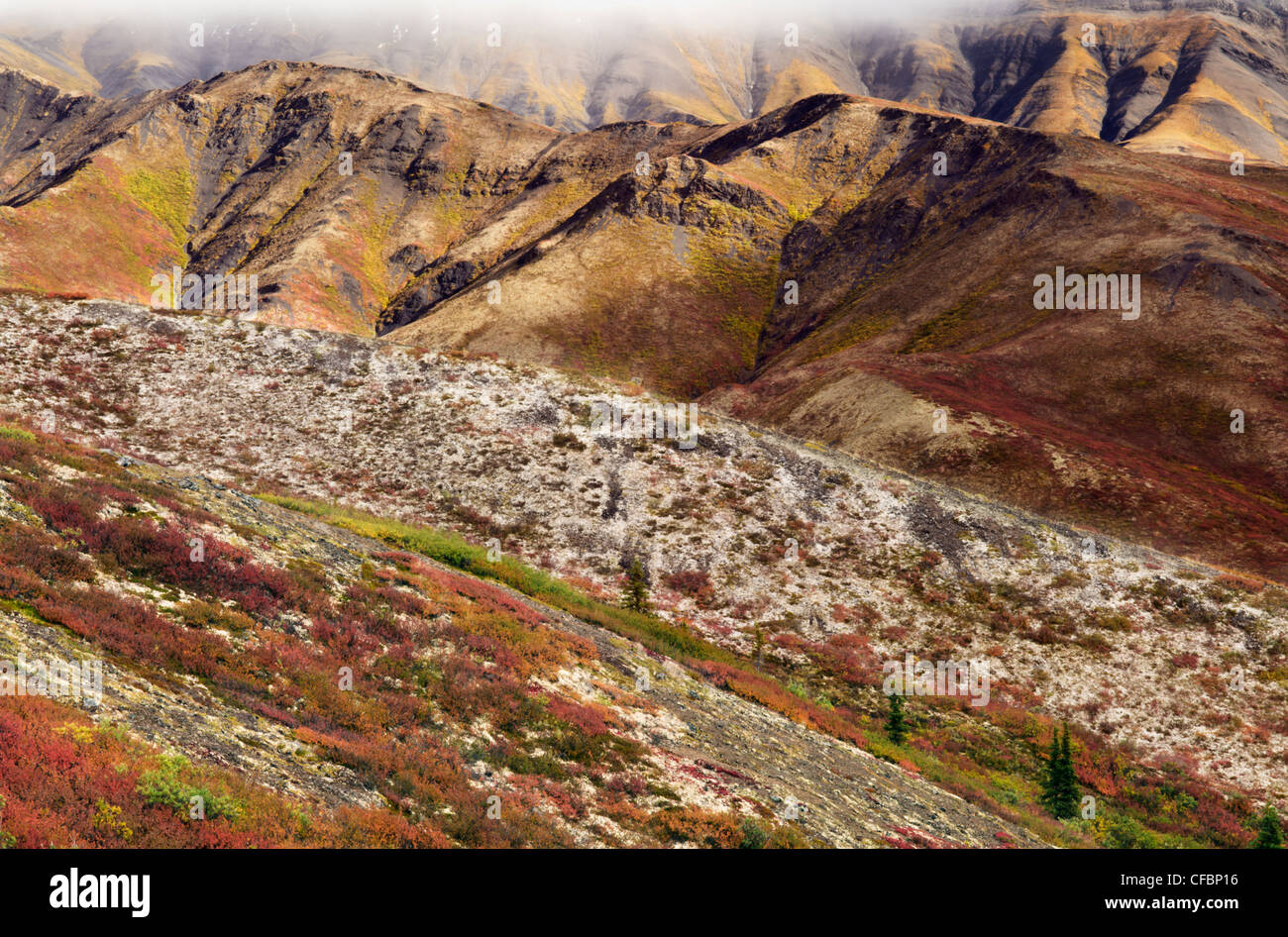 Tombstone Territorial Park, Yukon Territory, Canada Stock Photo