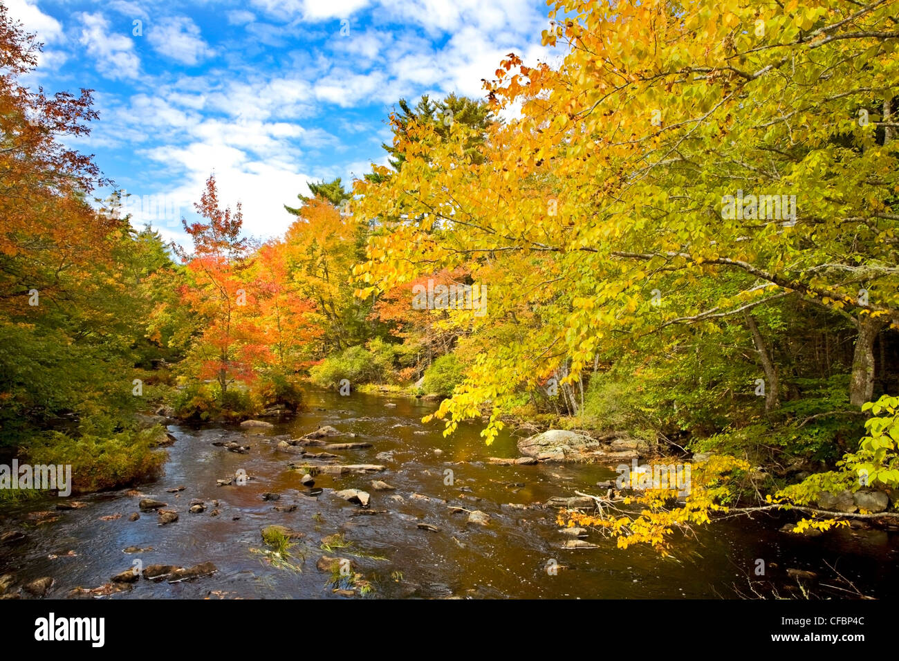 Nova scotia forest lakes hi-res stock photography and images - Alamy