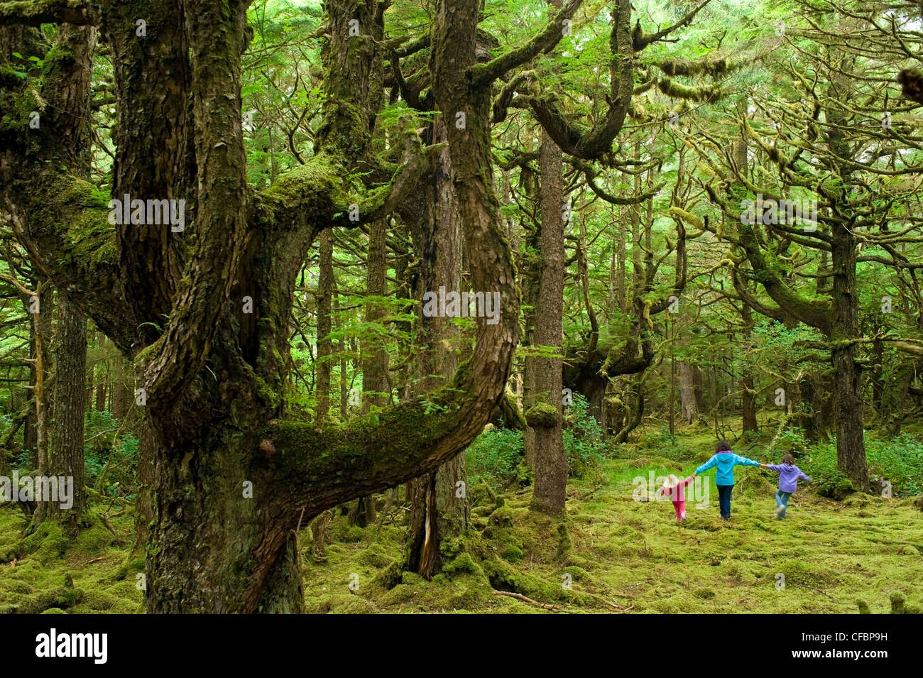 Mother and daughters in mossy forest, Naikoon Provincial Park, Queen Charlotte Islands, British Columbia, Canada Stock Photo